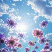 ヒメ日記 2026/02/24 09:12 投稿 ぼたん 奥様はエンジェル　立川店