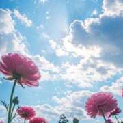 ヒメ日記 2026/04/15 07:06 投稿 ぼたん 奥様はエンジェル　立川店