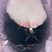 ヒメ日記 2025/03/15 12:24 投稿 弥生（やよい） PLUS難波店