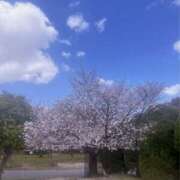 ヒメ日記 2025/04/04 21:35 投稿 弥生（やよい） PLUS難波店