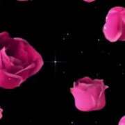 ヒメ日記 2025/07/10 10:44 投稿 弥生（やよい） PLUS難波店