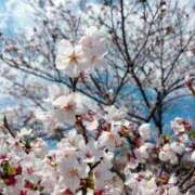 ヒメ日記 2026/04/05 20:34 投稿 弥生（やよい） PLUS難波店