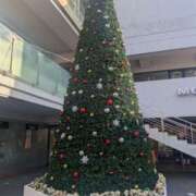 ヒメ日記 2024/12/09 19:43 投稿 あんな 横浜ハートショコラ（シンデレラグループ）