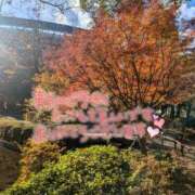 ヒメ日記 2024/12/28 19:49 投稿 あんな 横浜ハートショコラ（シンデレラグループ）