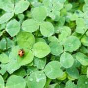 ヒメ日記 2025/02/20 18:26 投稿 さえこ ぷるるん小町梅田店