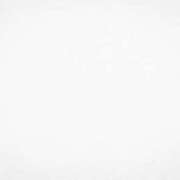 ヒメ日記 2025/03/02 16:24 投稿 さえこ ぷるるん小町梅田店