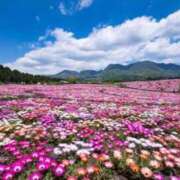 ヒメ日記 2025/03/09 00:10 投稿 さえこ ぷるるん小町梅田店