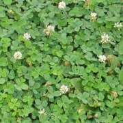 ヒメ日記 2025/03/22 23:34 投稿 さえこ ぷるるん小町梅田店