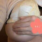 ヒメ日記 2025/04/02 19:02 投稿 さえこ ぷるるん小町梅田店