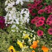 ヒメ日記 2025/04/21 08:04 投稿 さえこ ぷるるん小町梅田店