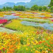 ヒメ日記 2025/04/26 19:13 投稿 さえこ ぷるるん小町梅田店