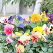 ヒメ日記 2025/04/27 14:09 投稿 さえこ ぷるるん小町梅田店