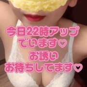 ヒメ日記 2025/09/20 10:59 投稿 さえこ ぷるるん小町梅田店