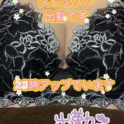 ヒメ日記 2025/11/07 10:35 投稿 さえこ ぷるるん小町梅田店