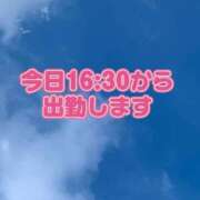 ヒメ日記 2025/11/14 16:25 投稿 さえこ ぷるるん小町梅田店