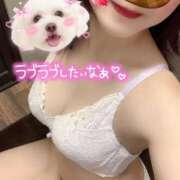 ヒメ日記 2025/11/25 14:37 投稿 さえこ ぷるるん小町梅田店