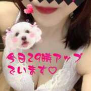 ヒメ日記 2025/12/04 23:47 投稿 さえこ ぷるるん小町梅田店