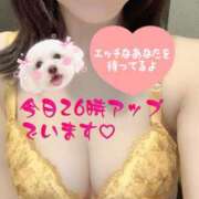 ヒメ日記 2025/12/05 23:53 投稿 さえこ ぷるるん小町梅田店