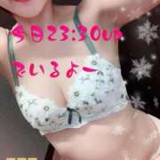 ヒメ日記 2026/01/11 16:26 投稿 さえこ ぷるるん小町梅田店