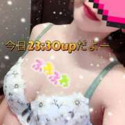 ヒメ日記 2026/01/13 11:36 投稿 さえこ ぷるるん小町梅田店