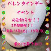 ヒメ日記 2026/01/30 14:13 投稿 さえこ ぷるるん小町梅田店