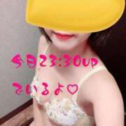 ヒメ日記 2026/01/31 18:26 投稿 さえこ ぷるるん小町梅田店