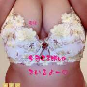 ヒメ日記 2026/02/06 15:46 投稿 さえこ ぷるるん小町梅田店