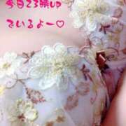 ヒメ日記 2026/02/07 16:47 投稿 さえこ ぷるるん小町梅田店