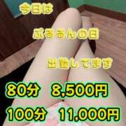 ヒメ日記 2026/07/08 19:32 投稿 さえこ ぷるるん小町梅田店