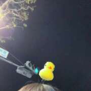 ヒメ日記 2025/11/14 01:51 投稿 今田かなこ エマーブル