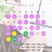 ヒメ日記 2024/12/12 14:20 投稿 新木　かりな シェルクラブ・ウエスト