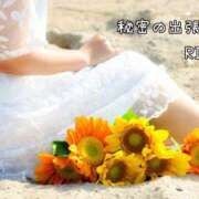 ヒメ日記 2025/07/08 22:43 投稿 リナ【マダムコース】 秘密の出張部屋