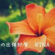 ヒメ日記 2025/09/11 02:03 投稿 リナ【マダムコース】 秘密の出張部屋