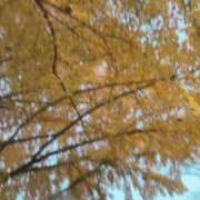 ヒメ日記 2025/01/16 07:19 投稿 天音りほ ウルトラハピネス