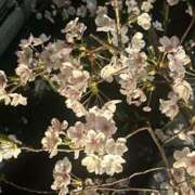 ヒメ日記 2025/04/06 17:48 投稿 れお ばつぐん素人プロダクション