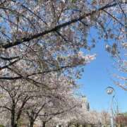 ヒメ日記 2025/04/11 17:09 投稿 れお ばつぐん素人プロダクション