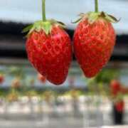 ヒメ日記 2026/03/26 17:01 投稿 れお ばつぐん素人プロダクション