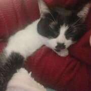 ヒメ日記 2024/12/15 10:21 投稿 ひなの 柏人妻花壇