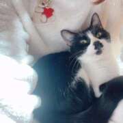 ヒメ日記 2025/04/01 07:56 投稿 ひなの 柏人妻花壇