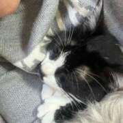 ヒメ日記 2025/04/18 14:35 投稿 ひなの 柏人妻花壇