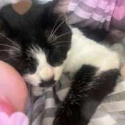 ヒメ日記 2025/04/24 08:00 投稿 ひなの 柏人妻花壇