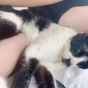 ヒメ日記 2025/05/22 08:22 投稿 ひなの 柏人妻花壇