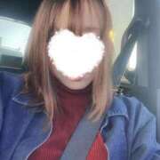 ヒメ日記 2025/10/28 16:04 投稿 ひなの 柏人妻花壇