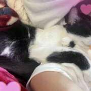 ヒメ日記 2025/10/29 14:25 投稿 ひなの 柏人妻花壇