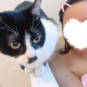 ヒメ日記 2025/10/30 19:01 投稿 ひなの 柏人妻花壇