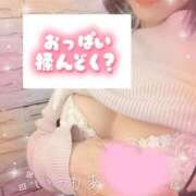 ヒメ日記 2024/12/19 14:57 投稿 すず 奥様メモリアル