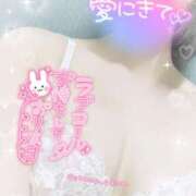 ヒメ日記 2024/12/27 08:18 投稿 すず 奥様メモリアル