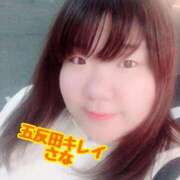 ヒメ日記 2026/03/19 01:47 投稿 さな KIREI（五反田）