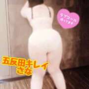 ヒメ日記 2026/03/20 19:41 投稿 さな KIREI（五反田）