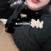 ヒメ日記 2026/02/13 07:01 投稿 あか 奴隷コレクション梅田店